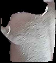 Crop