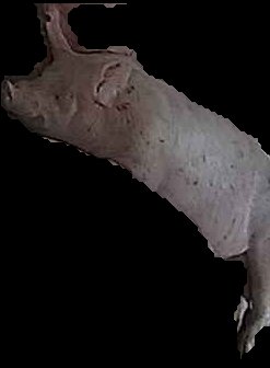 Crop