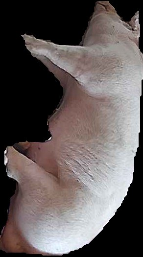 Crop
