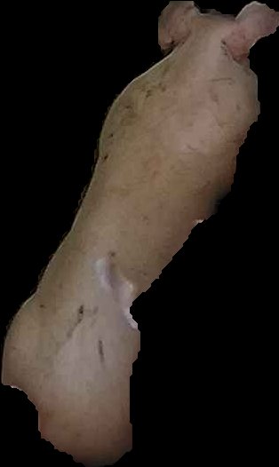 Crop