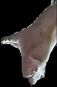 Crop