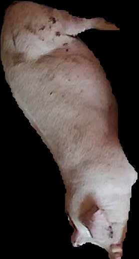 Crop