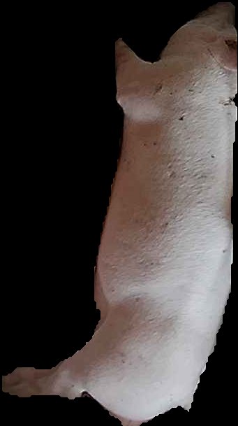 Crop
