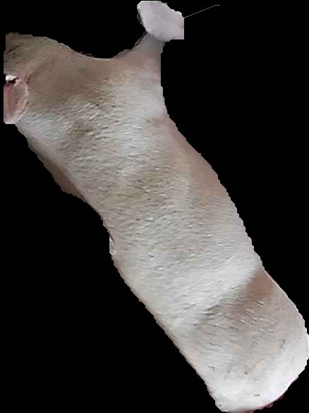 Crop