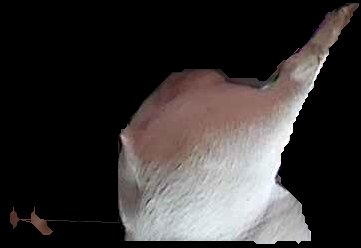 Crop