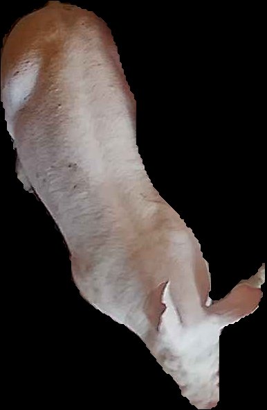 Crop