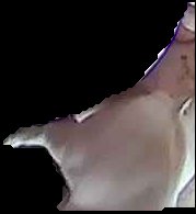 Crop