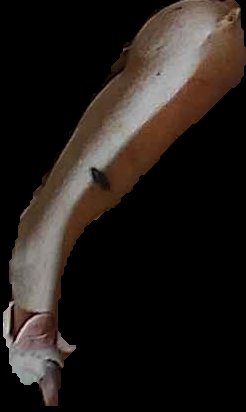Crop