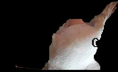 Crop