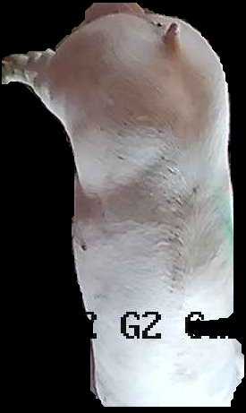 Crop