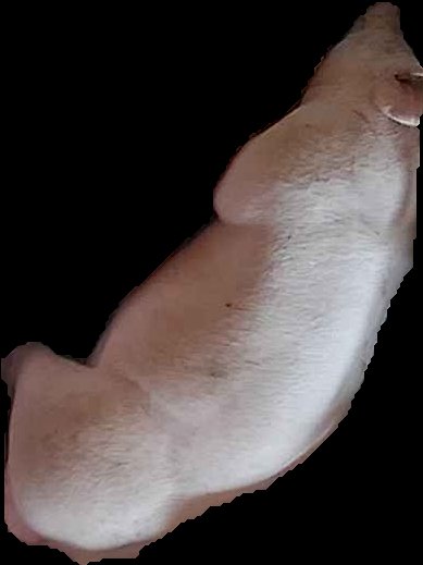 Crop