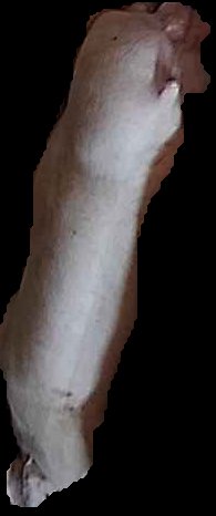 Crop