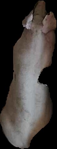 Crop