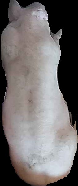 Crop