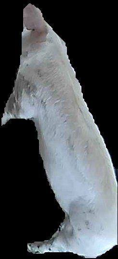 Crop