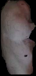 Crop