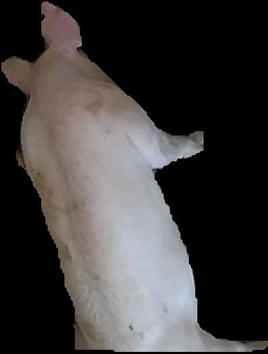 Crop