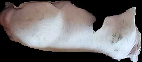 Crop
