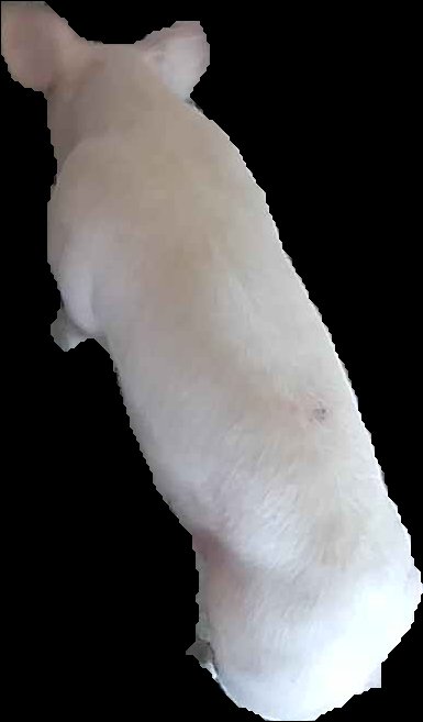 Crop