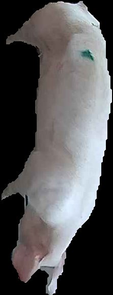 Crop