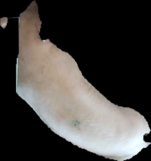 Crop