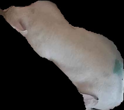 Crop