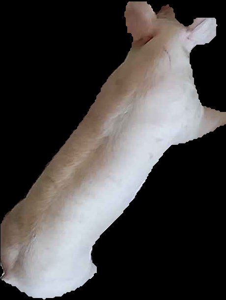 Crop