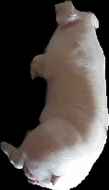 Crop
