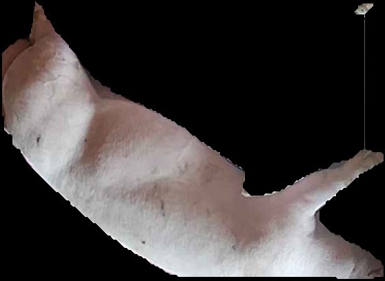 Crop