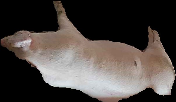 Crop