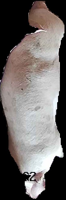 Crop