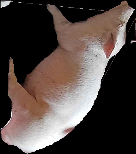 Crop