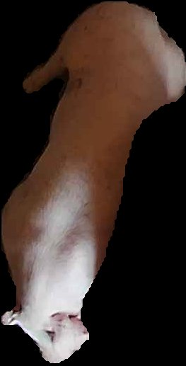 Crop
