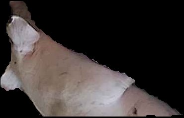 Crop