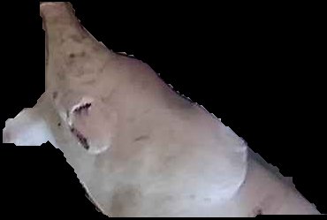 Crop