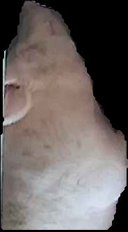 Crop