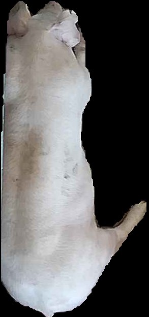 Crop