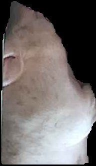 Crop
