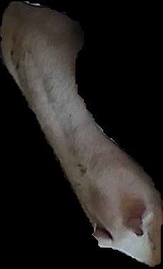 Crop