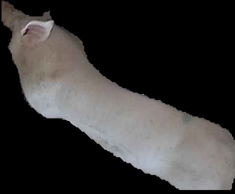 Crop