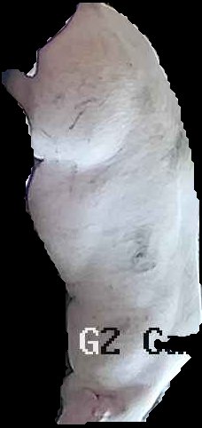 Crop