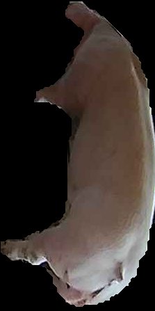 Crop