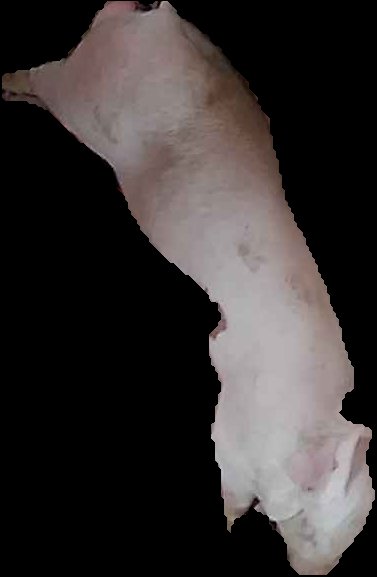 Crop
