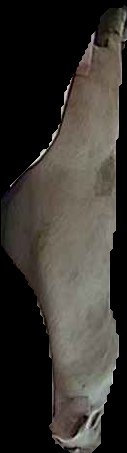 Crop
