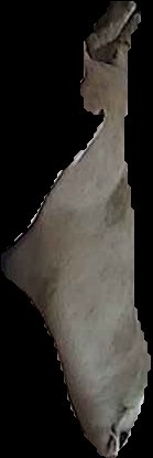 Crop