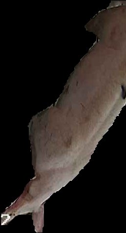 Crop