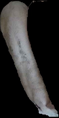 Crop