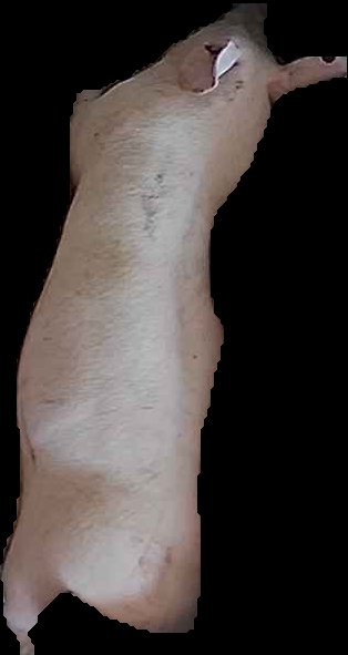 Crop