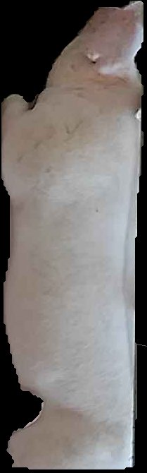 Crop