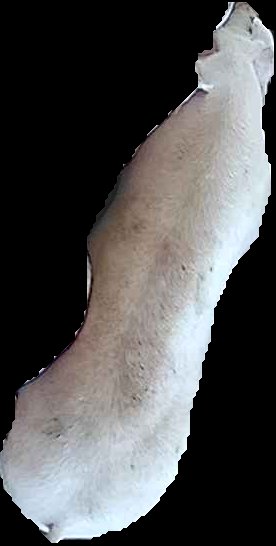 Crop